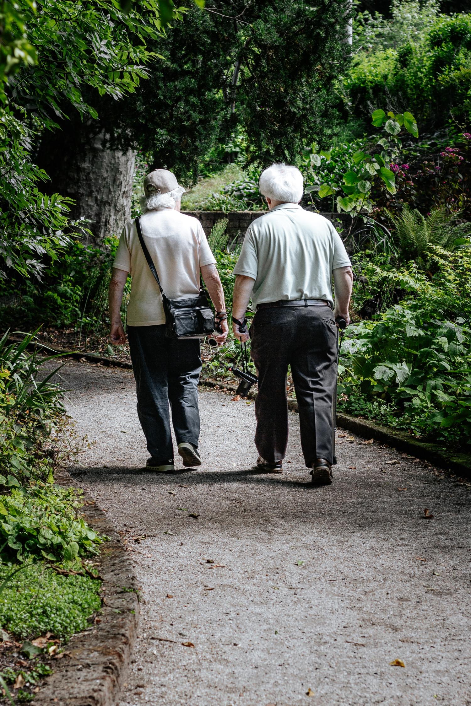 10 Tips For A Senior Walking Program Creative Home Therapy